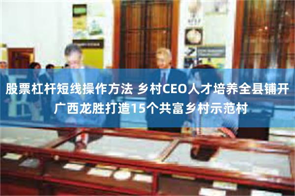 股票杠杆短线操作方法 乡村CEO人才培养全县铺开  广西龙胜打造15个共富乡村示范村