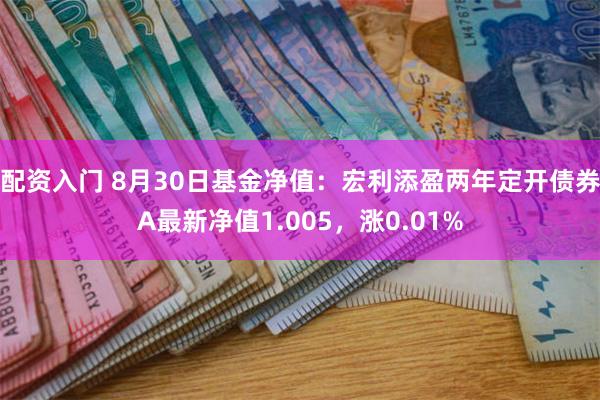 配资入门 8月30日基金净值：宏利添盈两年定开债券A最新净值1.005，涨0.01%